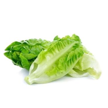 Long Lettuce, 1Kg